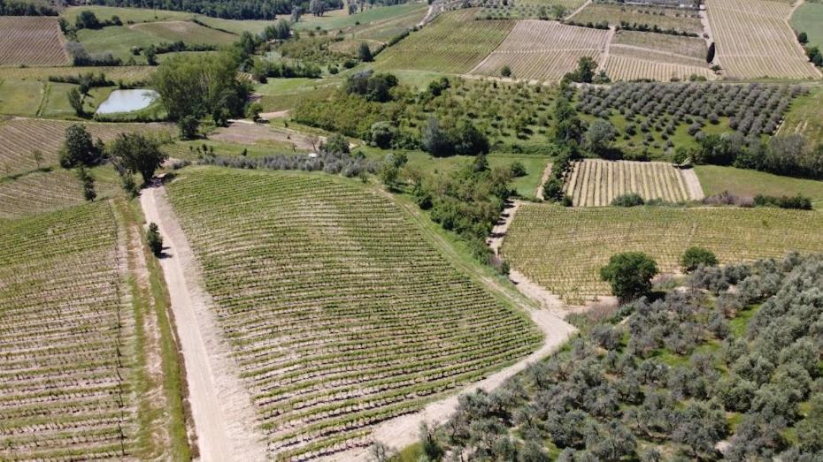 Apartmán Poggio Al Sole Montespertoli Exteriér fotografie